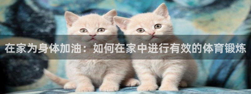 xc体育app官方网站：在家为身体加油：如何在家中进行有效的体育锻炼