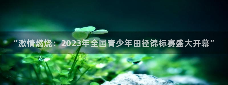 xc体育：“激情燃烧：2023年全国青少年田径锦标赛盛大开幕”