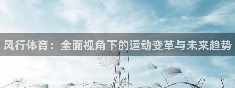 xc体育：风行体育：全面视角下的运动变革与未来趋势