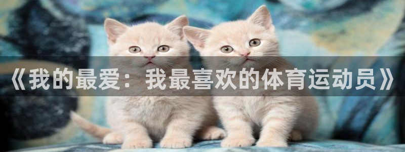 xc体育：《我的最爱：我最喜欢的体育运动员》
