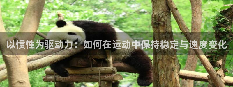 xc体育app官方网站：以惯性为驱动力：如何在运动中保持稳定与速度变化