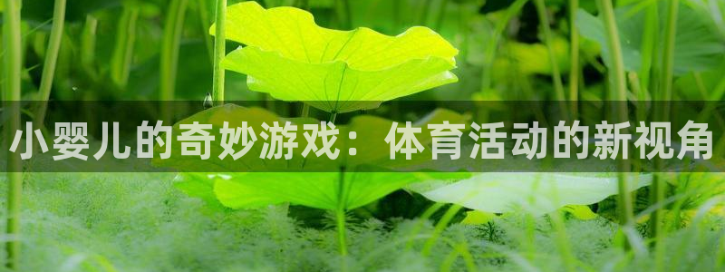 xc体育app官方网站：小婴儿的奇妙游戏：体育活动的新视角