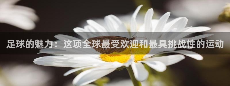 xc体育app官方网站：足球的魅力：这项全球最受欢迎和最具挑战性的运动
